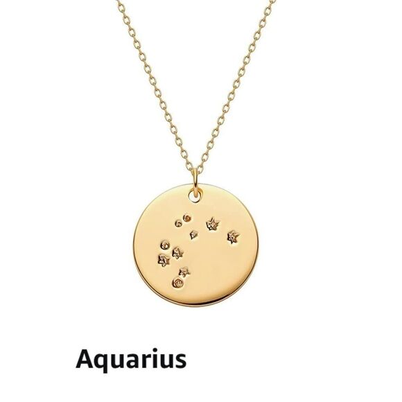 Pisces Zodiac Sign Disc Constellation Necklace - Picture 13 of 16